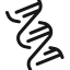 DNA strand
